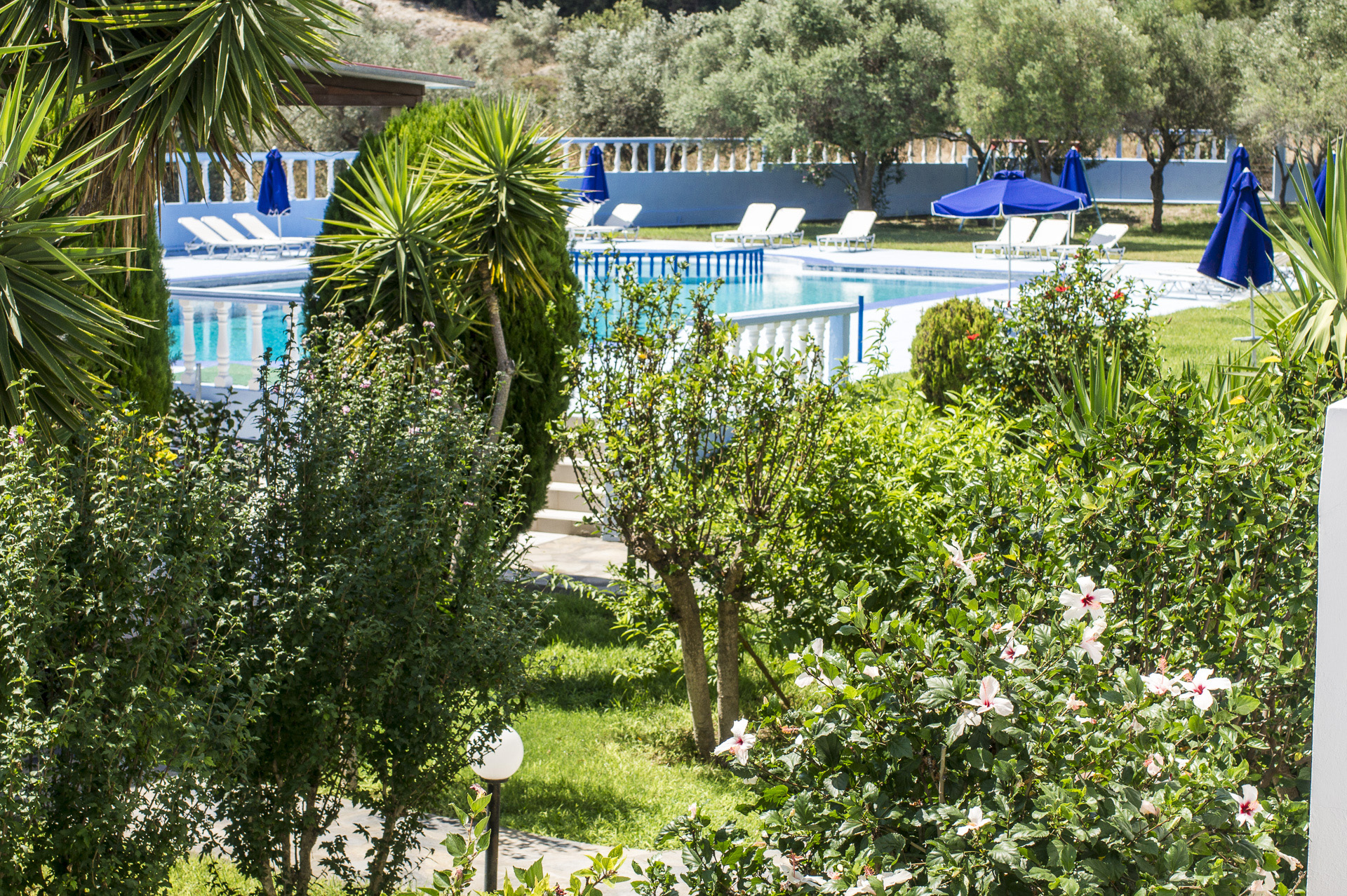 Foto hotel