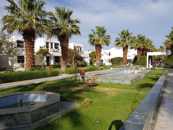 Foto hotel